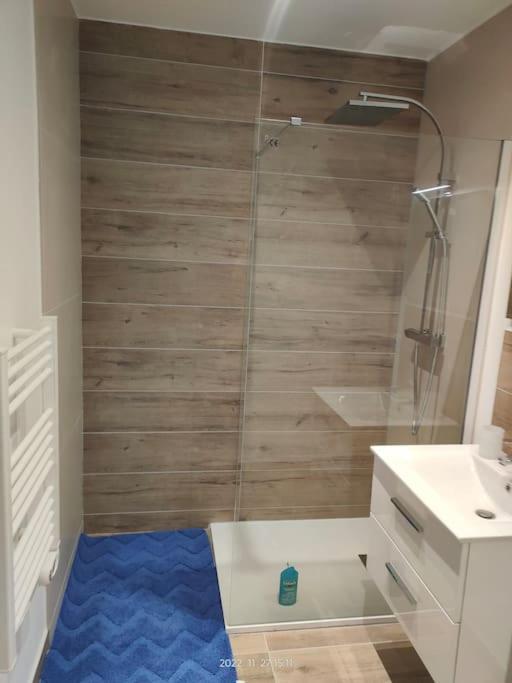 Logement Complet A Villeurbanne Buitenkant foto